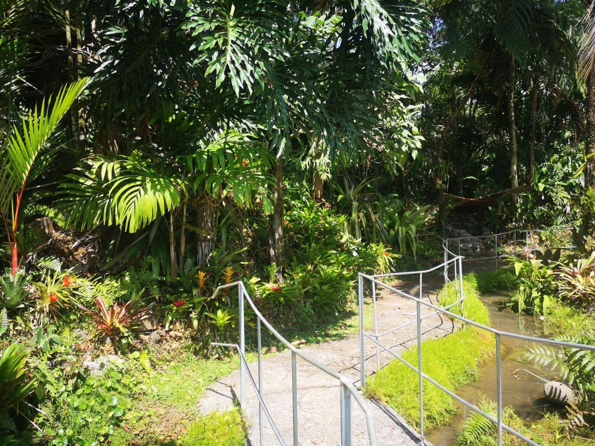 La Tigra  Casa Mendez B&B מראה חיצוני תמונה